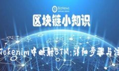 如何在Tokenim中映射BTM：详