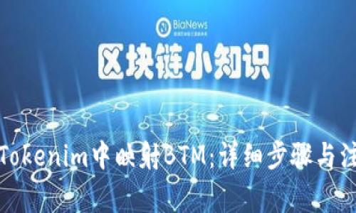 如何在Tokenim中映射BTM：详细步骤与注意事项