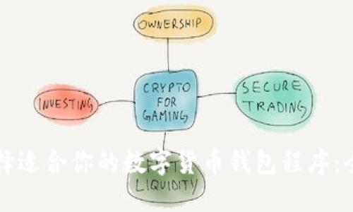 如何选择适合你的数字货币钱包程序：全面指南