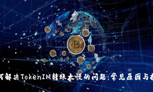 如何解决TokenIM转账太慢的问题：常见原因与技巧