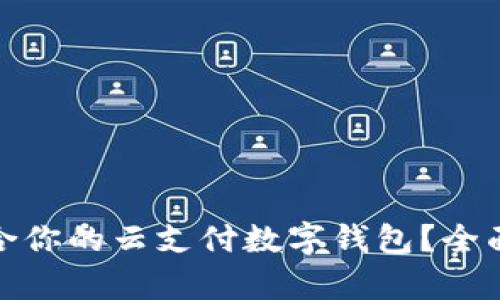 如何选择适合你的云支付数字钱包？全面解析与评测