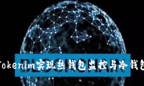 如何使用Tokenim实现热钱包监控与冷钱包安全管理