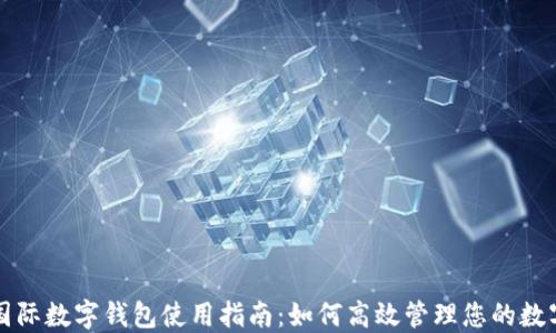 
央行国际数字钱包使用指南：如何高效管理您的数字资产