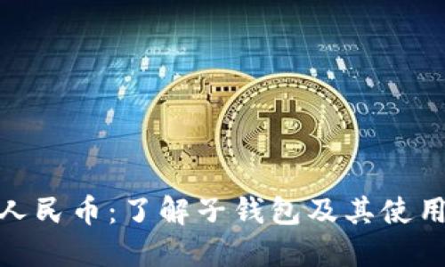 数字人民币：了解子钱包及其使用限制