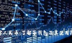数字人民币：了解子钱包