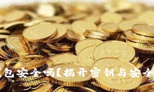 区块链钱包安全吗？揭开密钥与安全性的真相