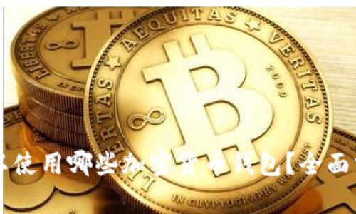 以色列可以使用哪些加密货币钱包？全面分析与推荐