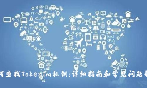 如何查找Tokenim私钥：详细指南和常见问题解答