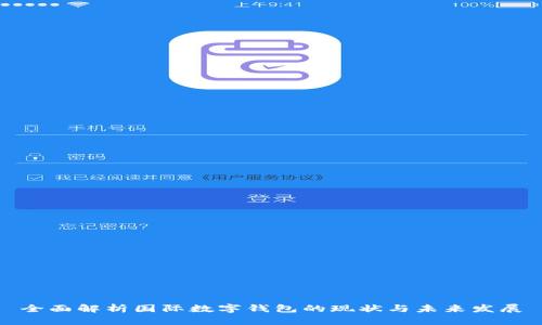 全面解析国际数字钱包的现状与未来发展