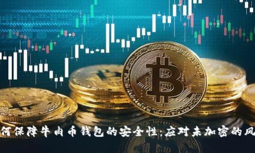 如何保障牛肉币钱包的安全性：应对未加密的风险