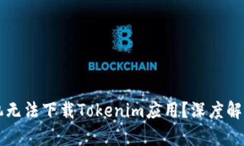 为何中国手机无法下载Tokenim应用？深度解析与解决方案