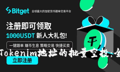 如何实现Tokenim地址的批量空投：全方位指南