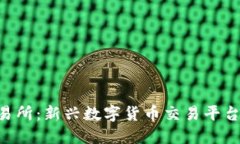Tokenim交易所：新兴数字货