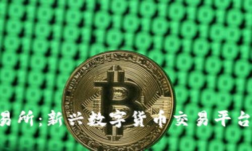 Tokenim交易所：新兴数字货币交易平台的全景探讨