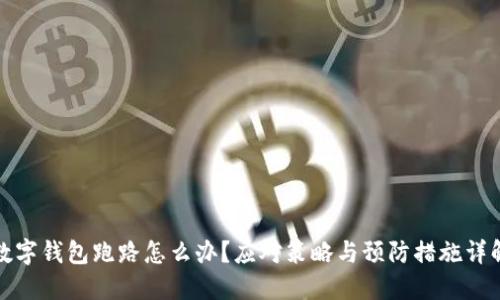 数字钱包跑路怎么办？应对策略与预防措施详解