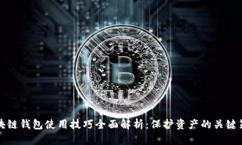 区块链钱包使用技巧全面解析：保护资产的关键策略
