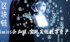 深入探讨Tokenimios企业版：