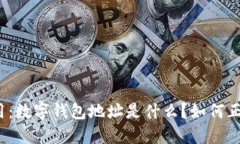 建议使用：数字钱包地址