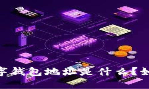 建议使用：数字钱包地址是什么？如何正确填写？
