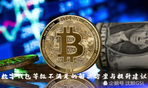 数字钱包等级不满足的解决方案与提升建议