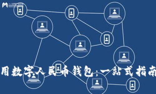如何有效使用数字人民币钱包：一站式指南与注意事项