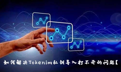 如何解决Tokenim私钥导入打不开的问题？