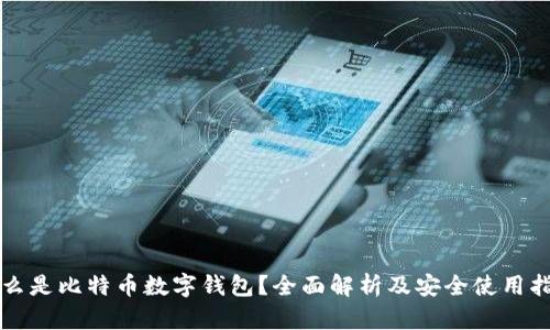 什么是比特币数字钱包？全面解析及安全使用指南