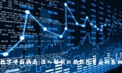数字中国骗局：深入解析