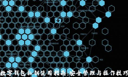
数字钱包私钥使用指南：安全管理与操作技巧