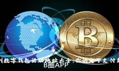 : 深圳数字钱包活动地址大全：你的电子支付新选择