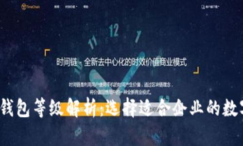  对公数字钱包等级解析：选择适合企业的数字钱包方案