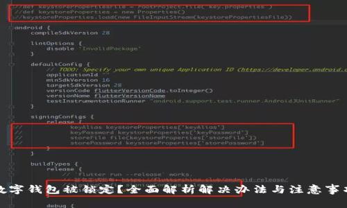 数字钱包被锁定？全面解析解决办法与注意事项