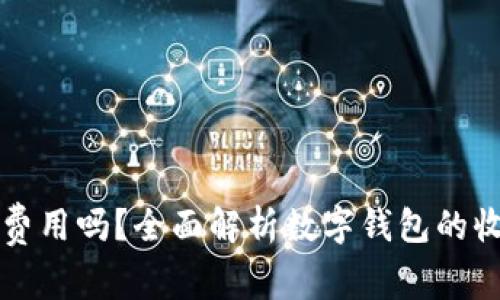 开通数字钱包需要费用吗？全面解析数字钱包的收费标准与使用指南