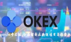 Tokenim中文版：全面解析区