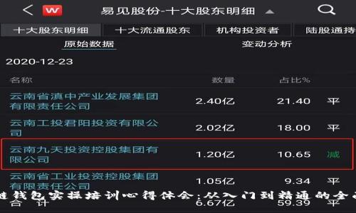 区块链钱包实操培训心得体会：从入门到精通的全面指南