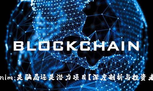 Tokenim：是骗局还是潜力项目？深度剖析与投资者指南
