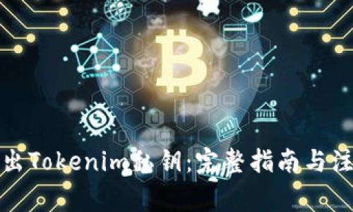 如何导出Tokenim私钥：完整指南与注意事项