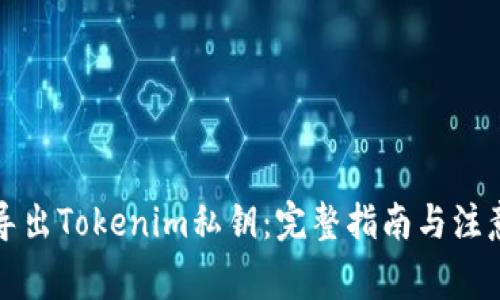 如何导出Tokenim私钥：完整指南与注意事项