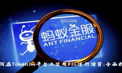 如何在Tokenim平台上使用FIL进行借贷：全面指南