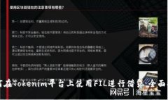 如何在Tokenim平台上使用FIL进行借贷：全面指南