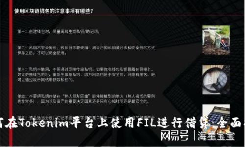 如何在Tokenim平台上使用FIL进行借贷：全面指南