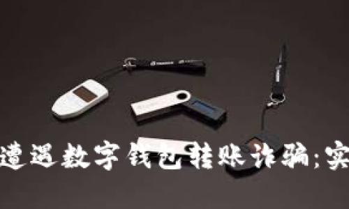 如何保护自己不再遭遇数字钱包转账诈骗：实用指南与应对策略