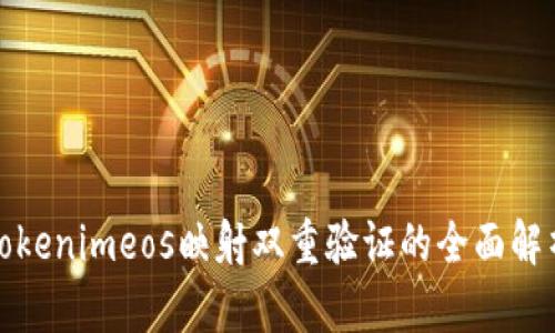Tokenimeos映射双重验证的全面解析