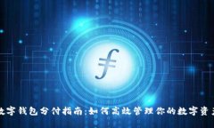 数字钱包分付指南：如何高效管理你的数字资产