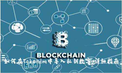 如何在Tokenim中导入私钥数字：详细指南