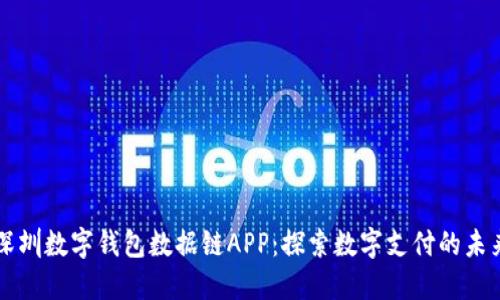 深圳数字钱包数据链APP：探索数字支付的未来