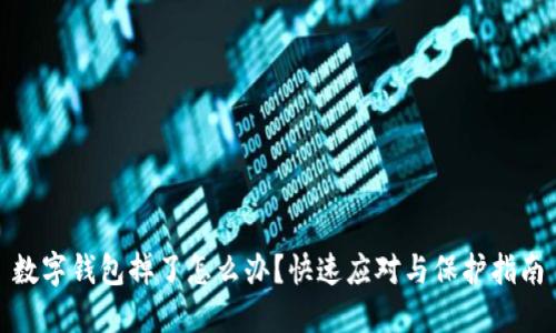 数字钱包掉了怎么办？快速应对与保护指南