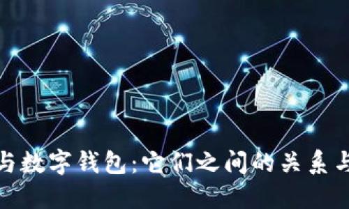 分叉与数字钱包：它们之间的关系与影响