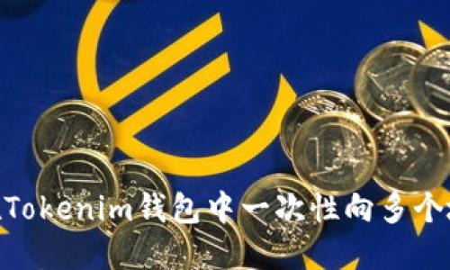 : 如何在Tokenim钱包中一次性向多个地址转账